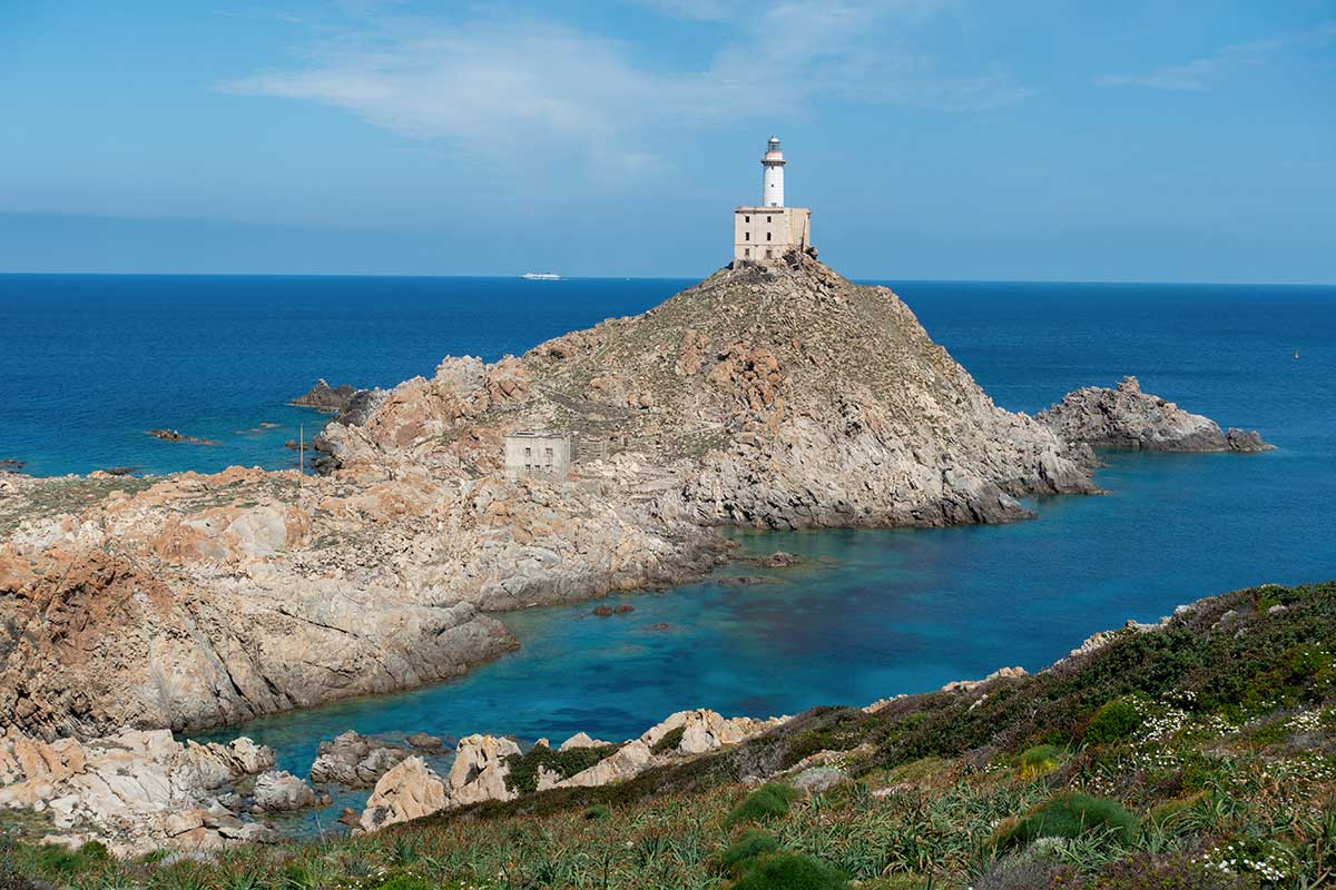 Alemar-Escursioni-Golfo-Asinara Stintino e il Golfo dell'Asinara | Alemar Escursioni in Barca