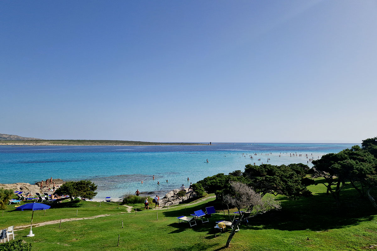 Alemar-Escursioni-Stintino-e-Asinara-Gallery1 Alemar Escursioni Stintino Sardegna